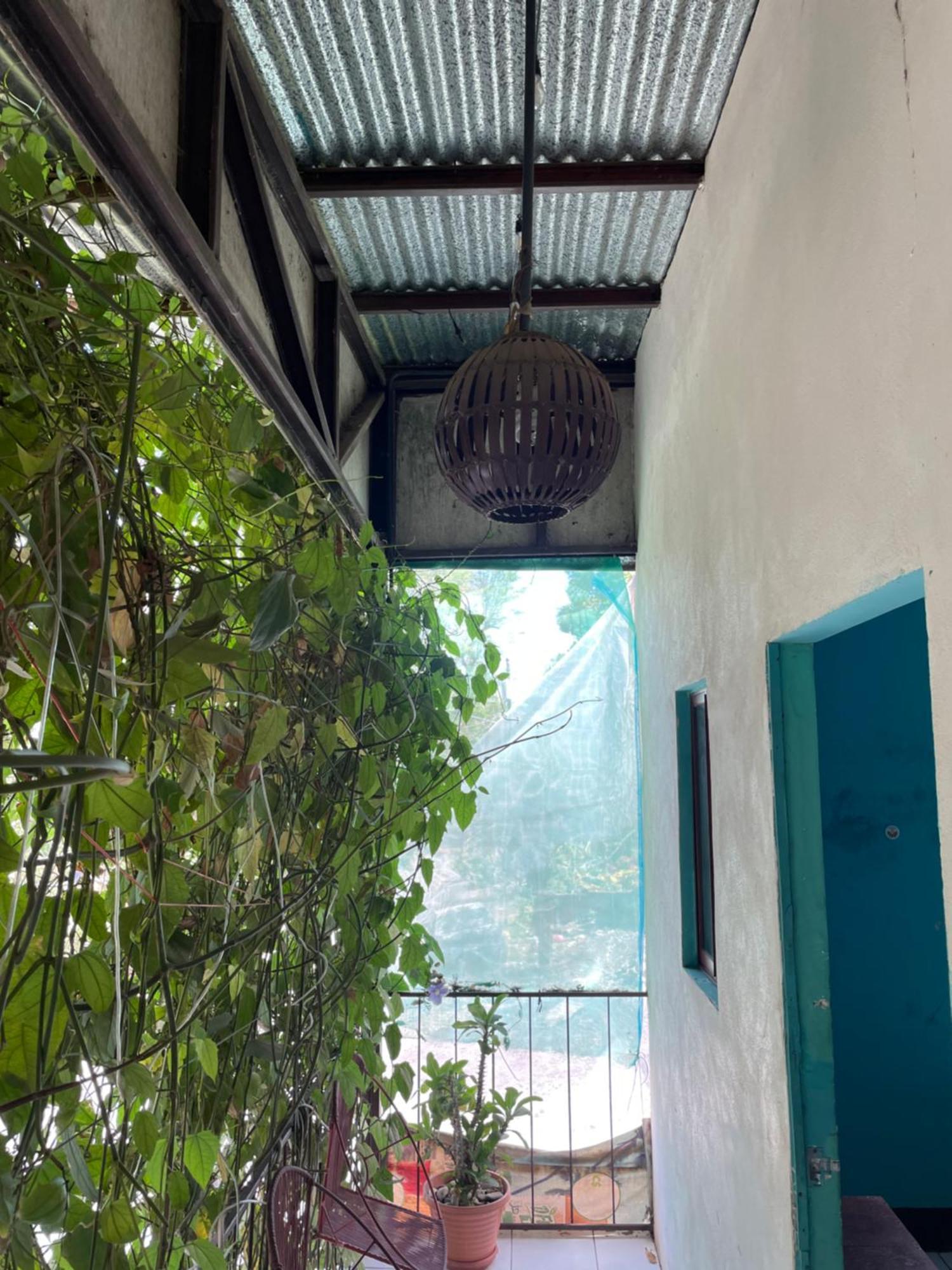 Hostal Isla Natal Moyogalpa Exterior photo